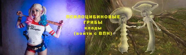 шишки Армянск