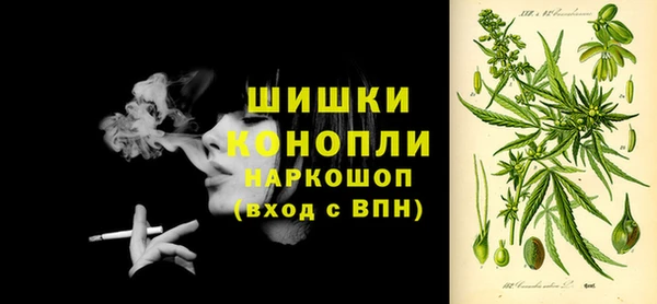 шишки Армянск