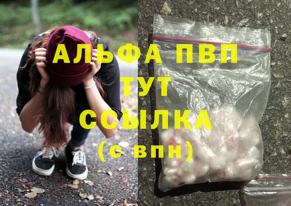 шишки Армянск