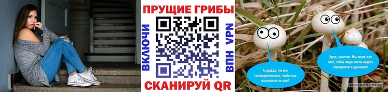 MEGA как войти  Баймак  площадка Telegram  Галлюциногенные грибы мухоморы 